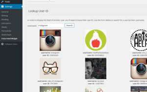 insta feed widget admin